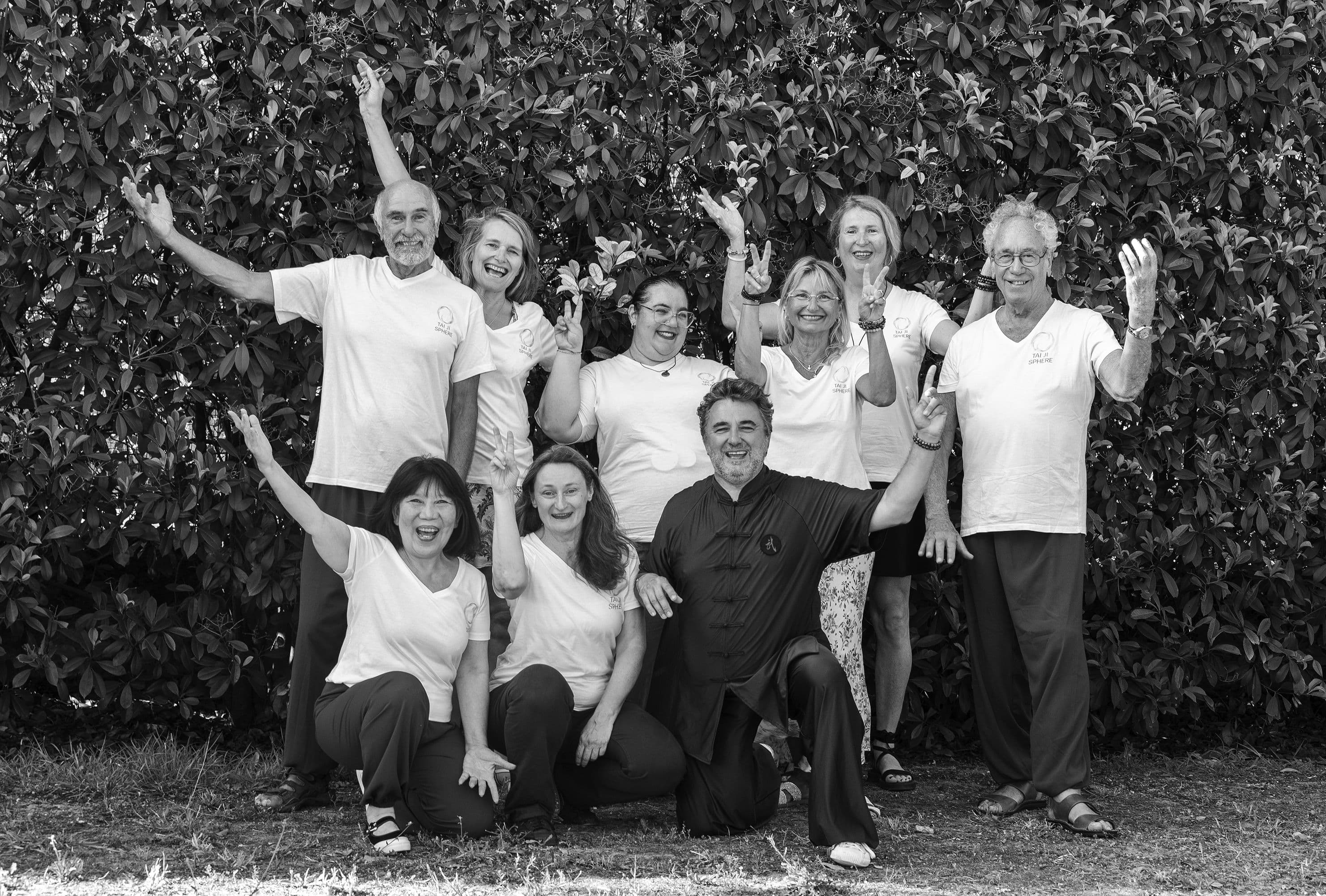 L'equipe, L'équipe de Taiji Sphère Academy